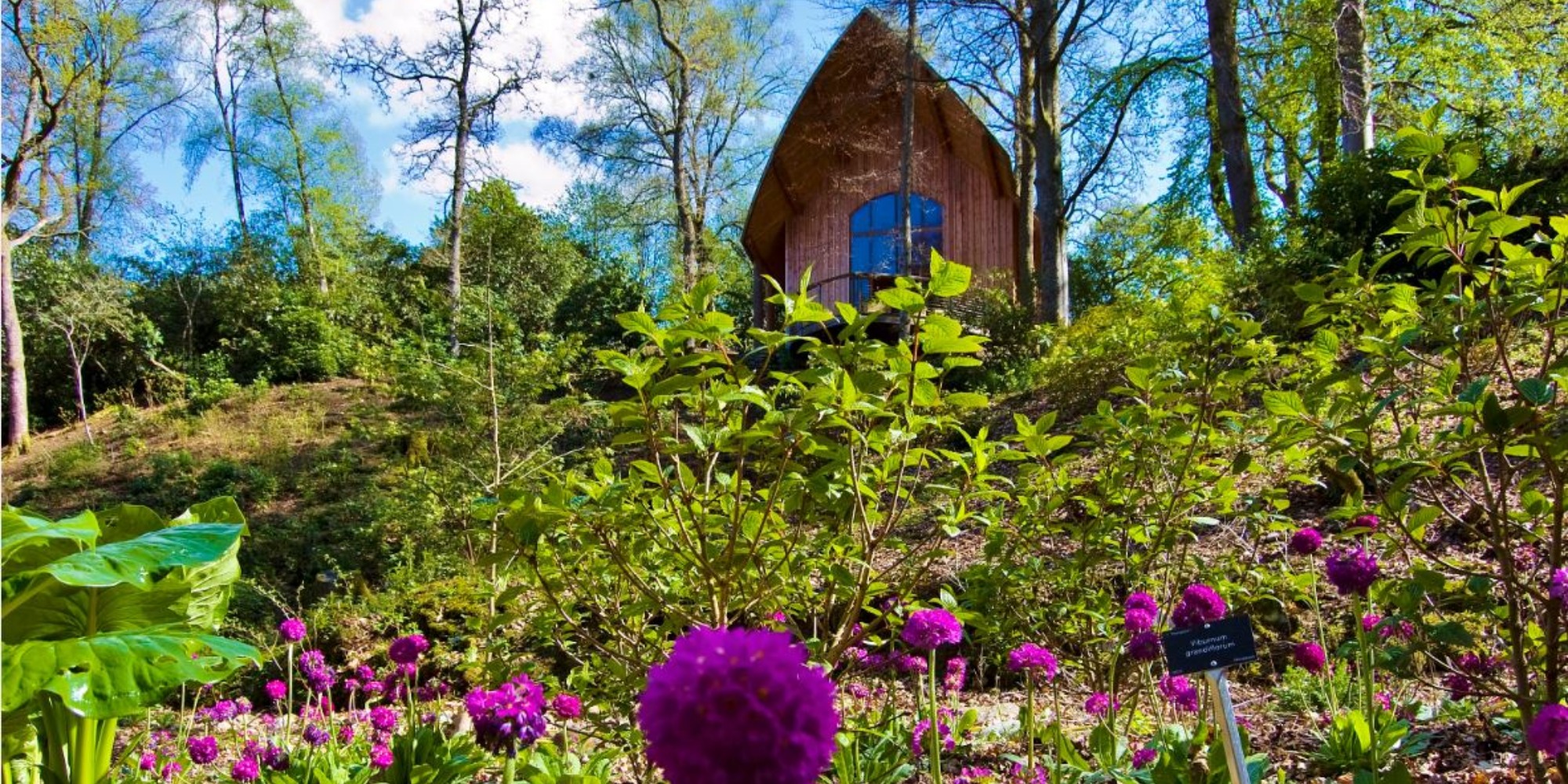 An image of a wooded area with purple flowers in the foreground stretching to a lot of greenery, as the hill rises at the top is a hut with a pointed roof and a large glass window facing towards the hill. Behind the building are blue skies and trees surrounding.