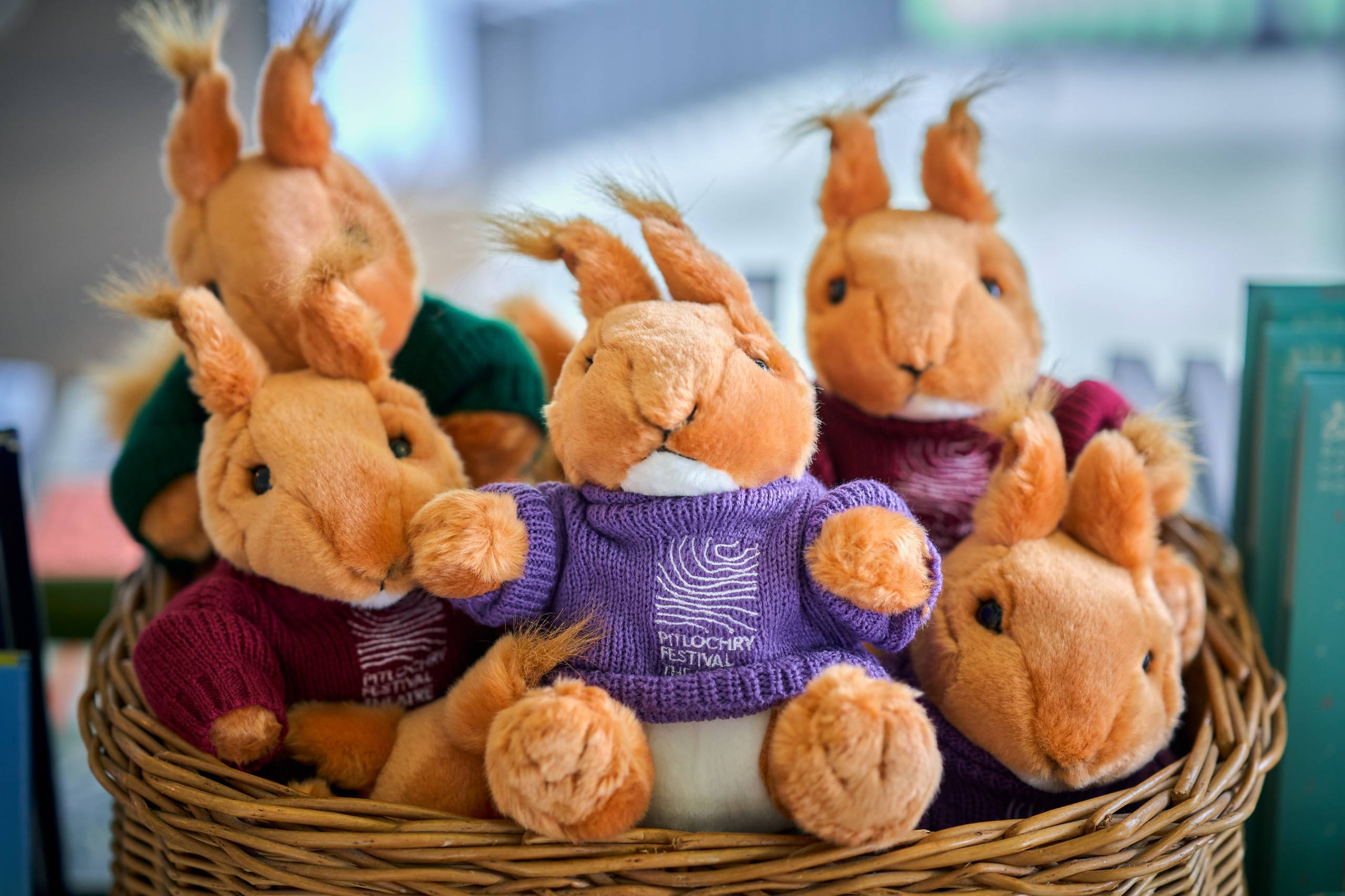 A basket of red squirrel soft toys with jumpers on with the writing 'pitlochry festival theatre'